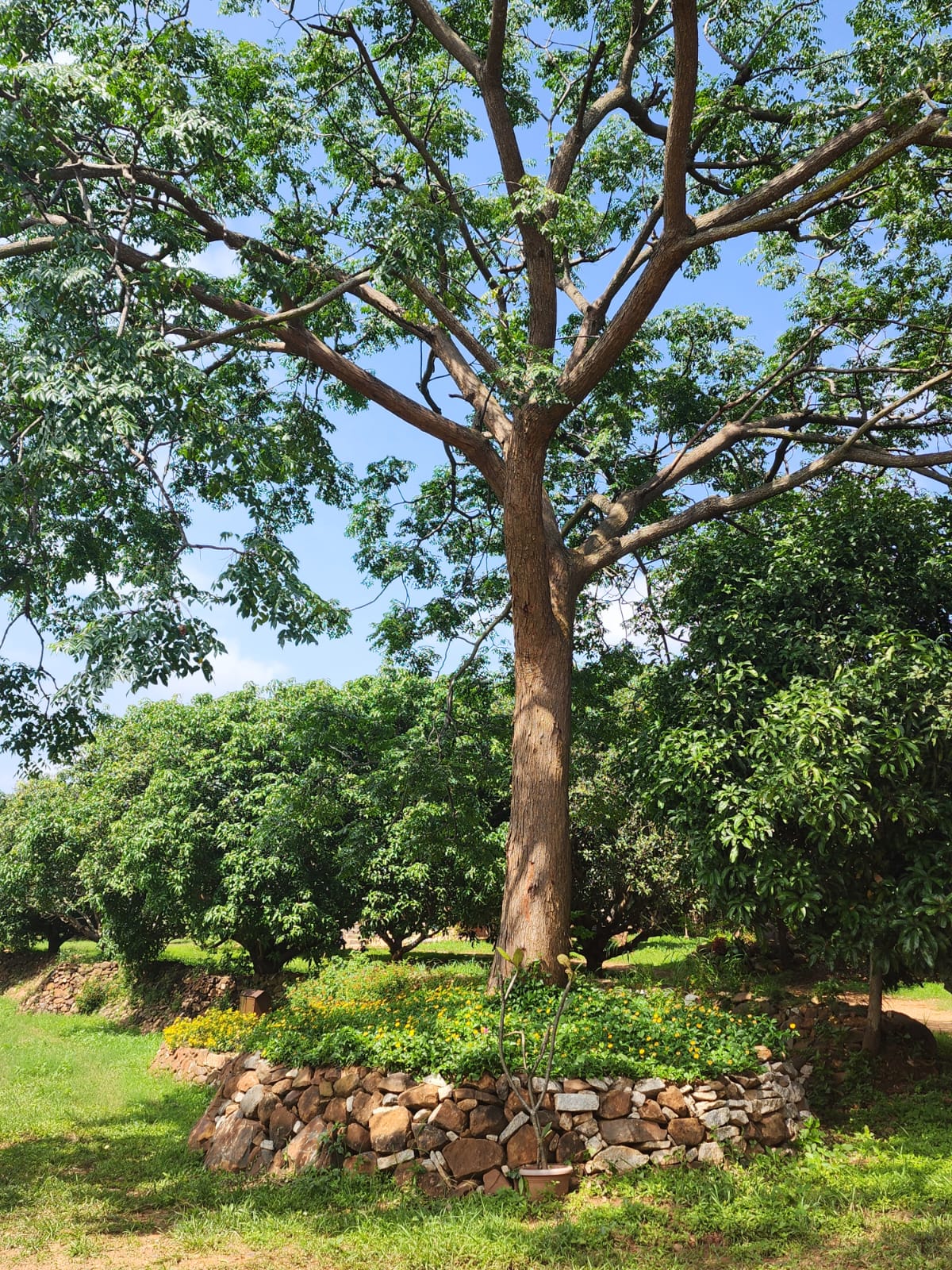 Casa Nassa living area